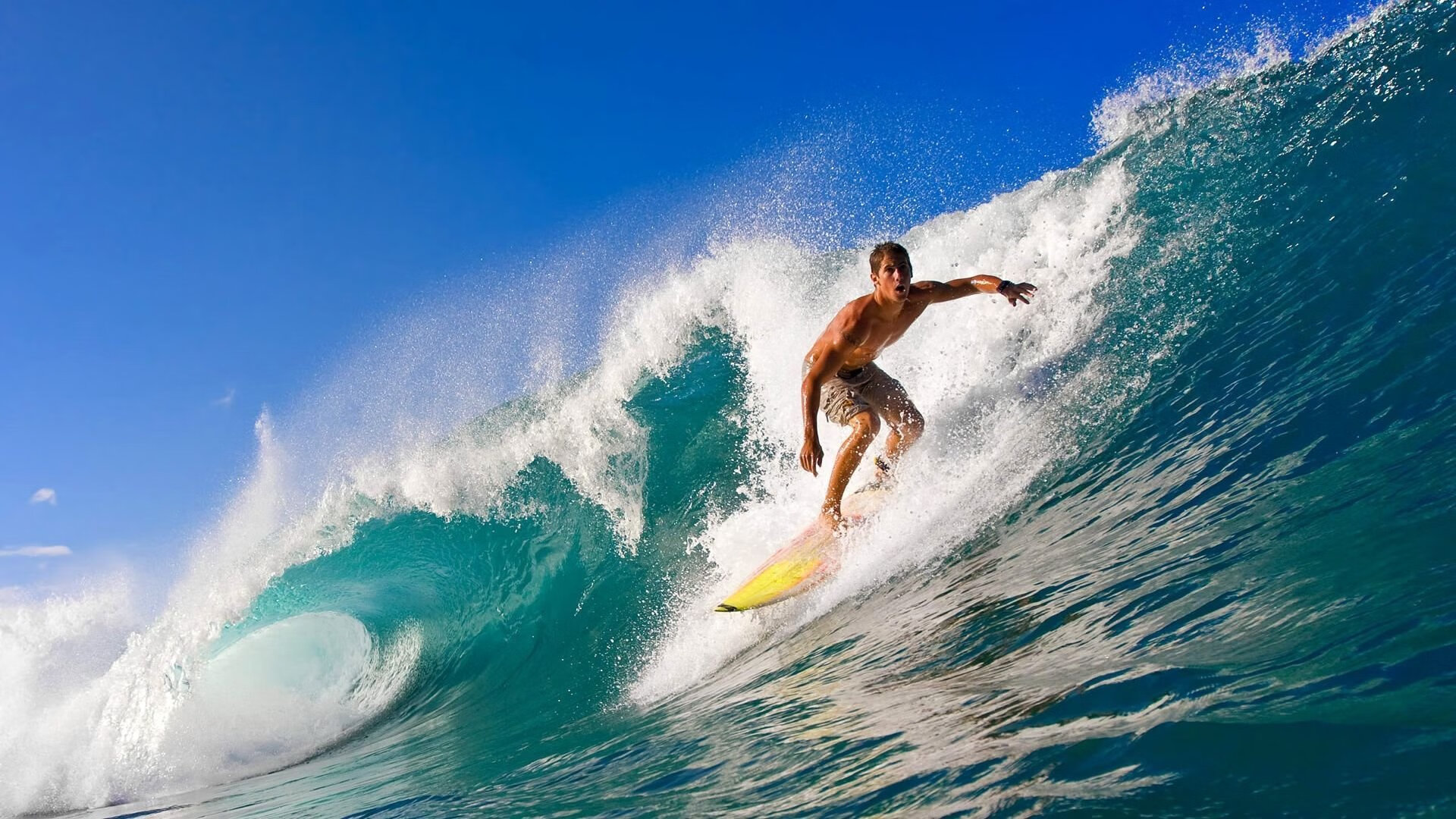 霍勒迪欧冠封神夜，森林狼单节风暴，竞技体育的接管时刻